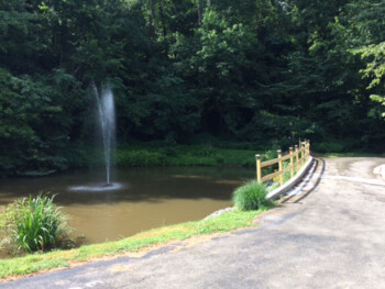 Pond with Fence in Seams Like Home bed and breakfast