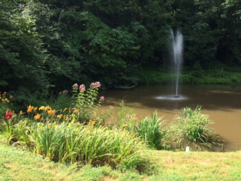 Pond in Seams Like Home bed and breakfast