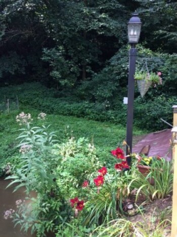 Light Post in Vanderbilt, PA Bed and Breakfast