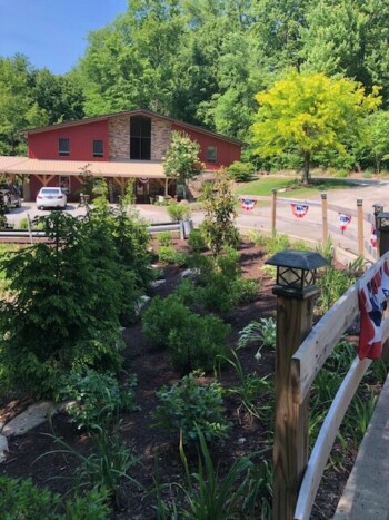 Pond and Inn View in Seams Like Home bed and breakfast