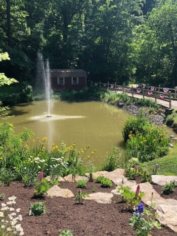 Garden Pond View in Seams Like Home bed and breakfast