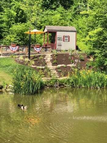 Garden Pond in Seams Like Home bed and breakfast