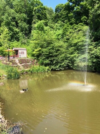 Fountain Pond in Seams Like Home bed and breakfast