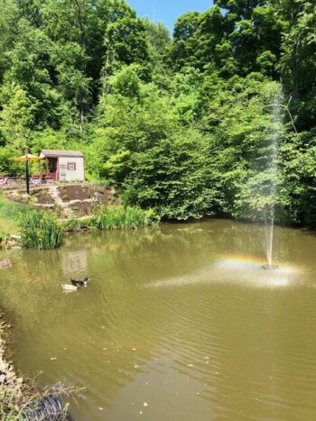 Fountain Pond in Seams Like Home bed and breakfast