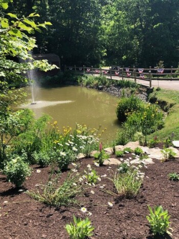 Pond View in Seams Like Home bed and breakfast