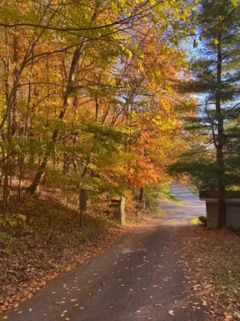 A serene autumn pathway surrounded by trees with colorful fall foliage.