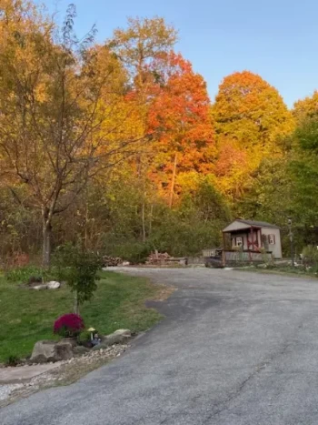 A country road with vibrant autumn trees and a small wooden hut under a clear sky.